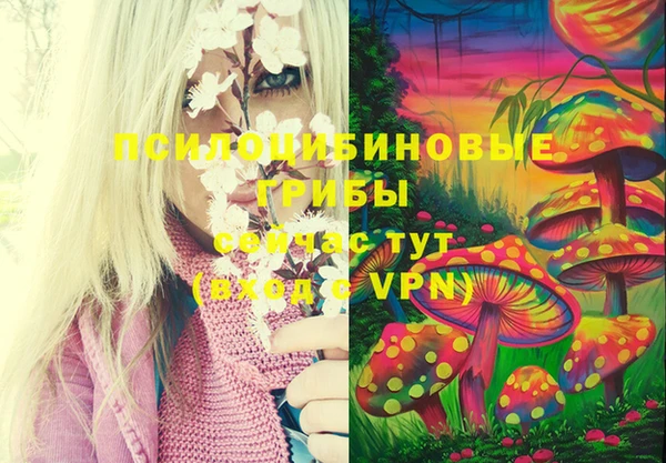 винт Надым