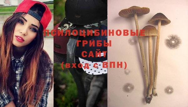 винт Надым