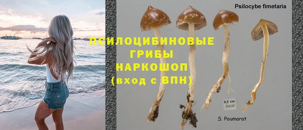 винт Надым